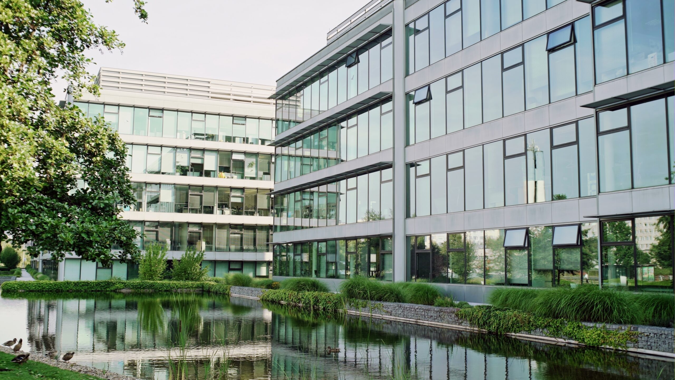 Modern,Business,Buildings,Contrasting,Around,The,Lake,,Used,As,Headquarters